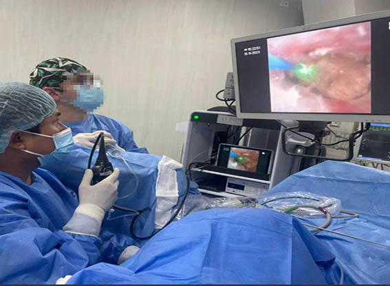 Imagen de WhatsApp 2024-09-27 a las 13.49.38_07c25dd3